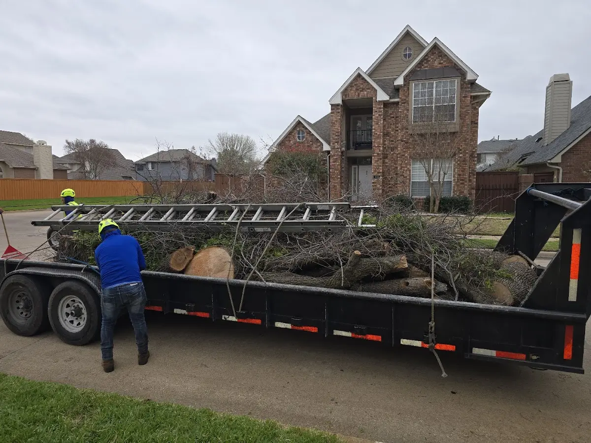 Expert Crown Reduction with proper safety equipment in Atchison